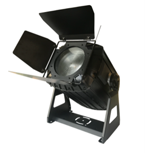 Fresnel 300w Outdoor